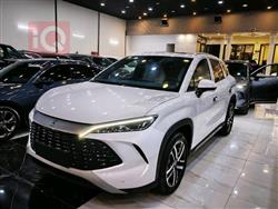 بي واي دي سونغ L DM-i